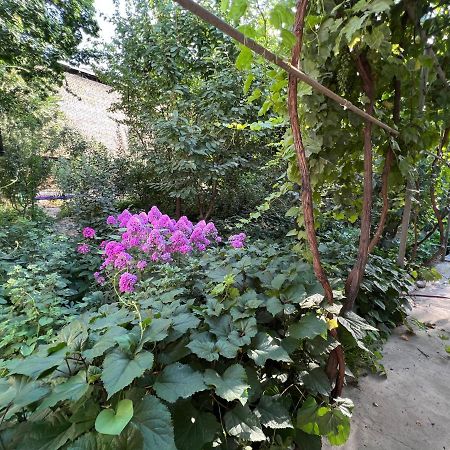 Lovely Home Osh Ngoại thất bức ảnh
